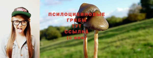 MESCALINE Вяземский