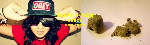 трава Вязьма