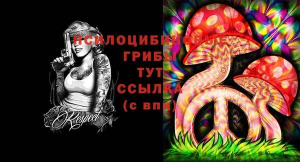 трава Вязьма