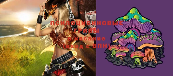 MESCALINE Вяземский