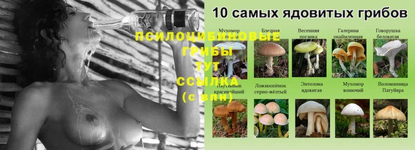 MESCALINE Вяземский